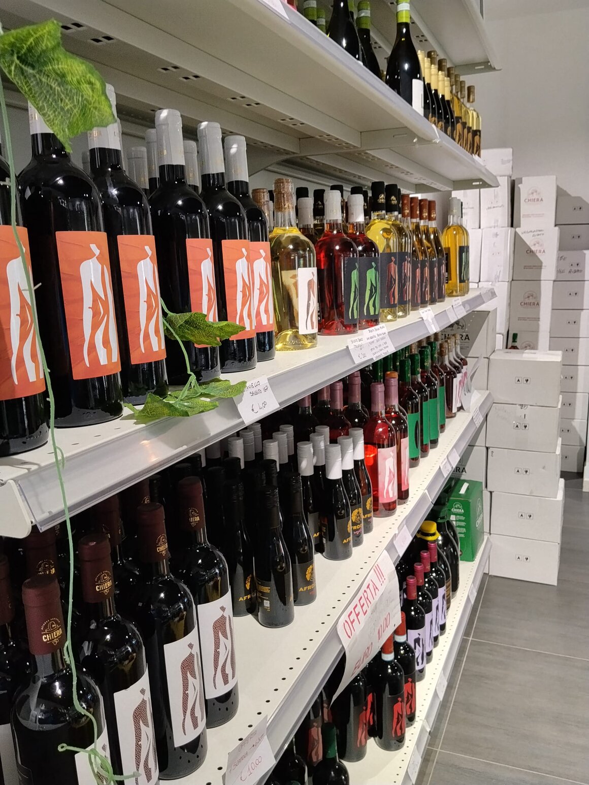 Selezione di bottiglie di vini del Salento in enoteca